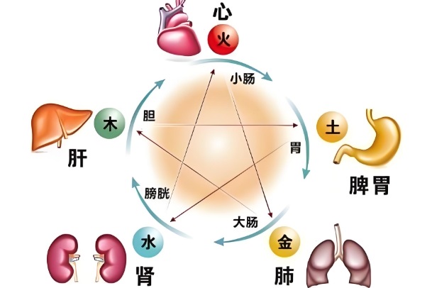 {随机变量I7}