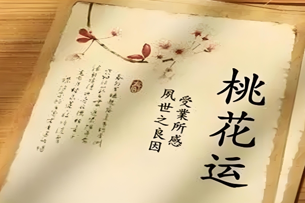 通马桶的工具叫什么图片