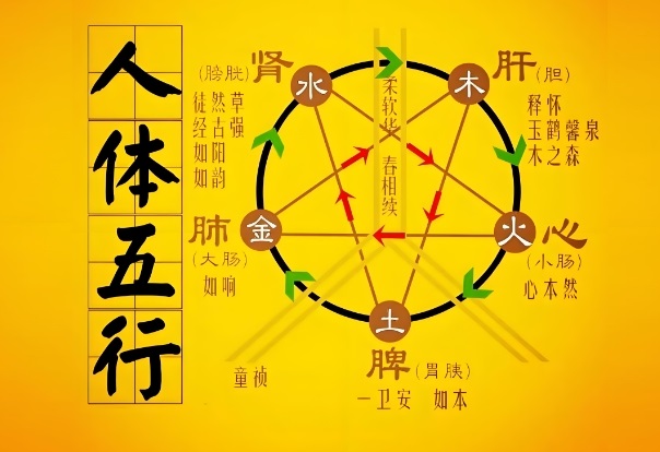 择吉分析