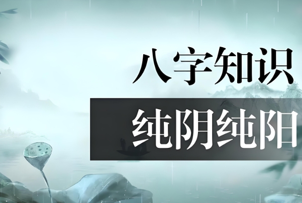 晚上做梦梦到乌龟的奇妙之旅