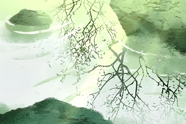 梦见自己生命即将结束：探寻生命的意义