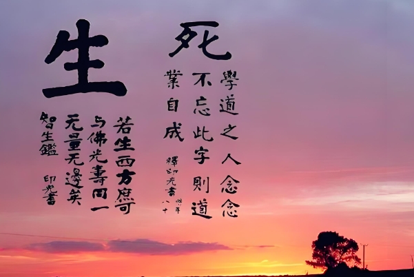 共情能力