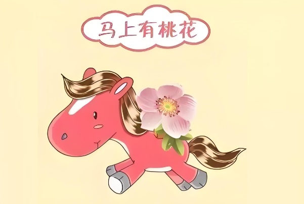 {随机变量I6}