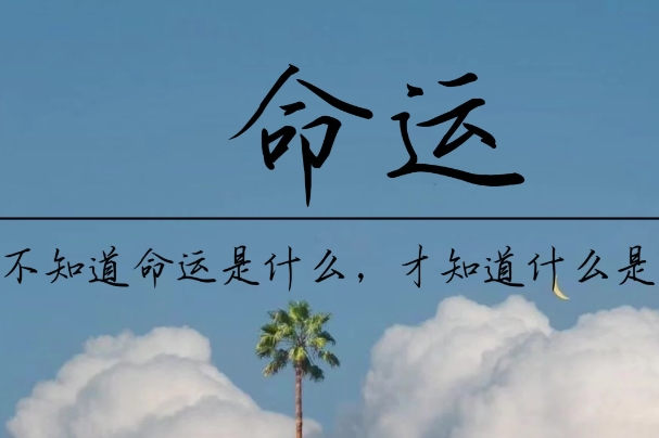 一睡觉就做梦怎么调理_睡眠调理法