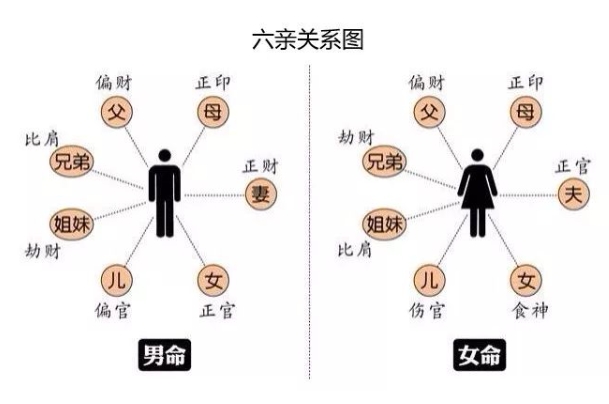 梦见大蟒蛇意味着什么_寓意解读
