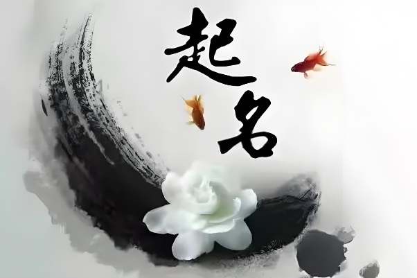 {随机变量I7}