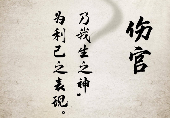 居家功能性