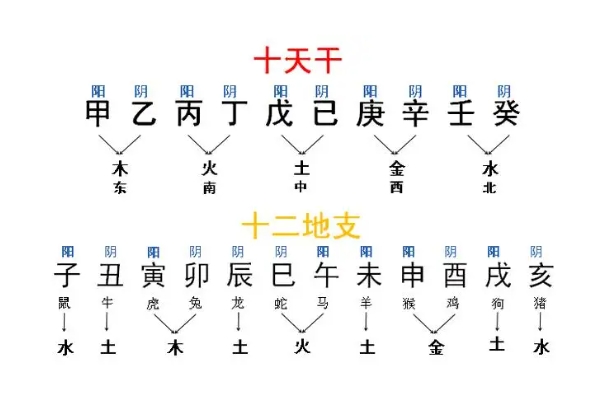 梦见死而复生的鱼_重生寓意