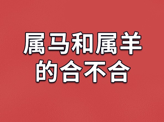 {随机变量I7}