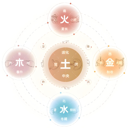 团队领导力