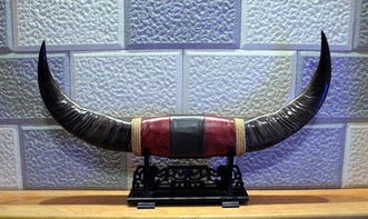 牛角有什么风水作用（牛角的风水用途和摆放方法）