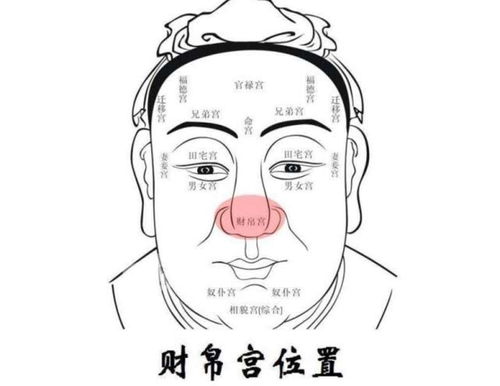男士风水眉解析(男士风水眉毛话术)
