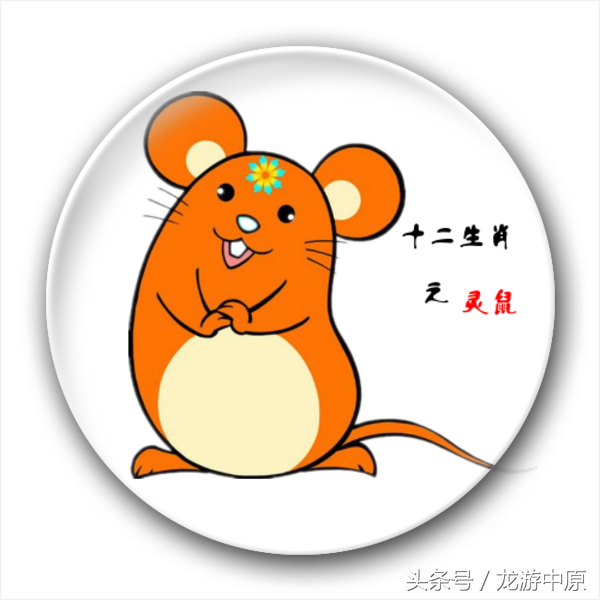 十二生肖搞笑表情包(十二生肖的搞笑图片)