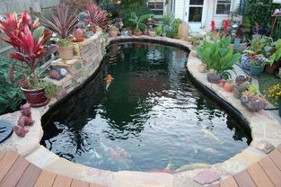庭院鱼池设计在院子哪个方位好 院子里鱼池最佳方位详解（院子鱼池在哪个位置好）