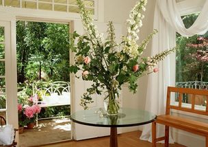客厅盆栽四大好风水植物让你的家居更有生气！