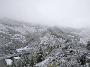 下雪了下雪了美景五台山天气很冷 