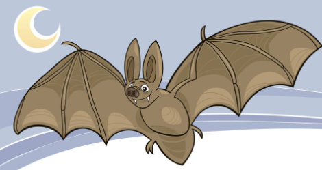 蝙蝠飞到家里是什么预兆？蝙蝠飞到家里怎么赶出去？