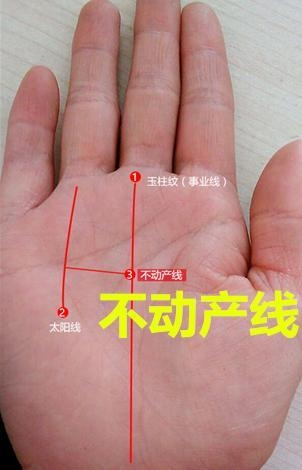 掌纹图解如何看手相上的9大财富纹?