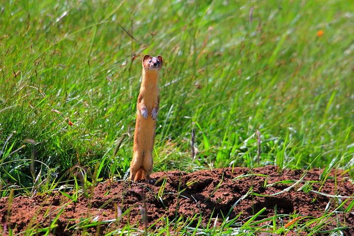 1570680012618565.jpg timg.jpg