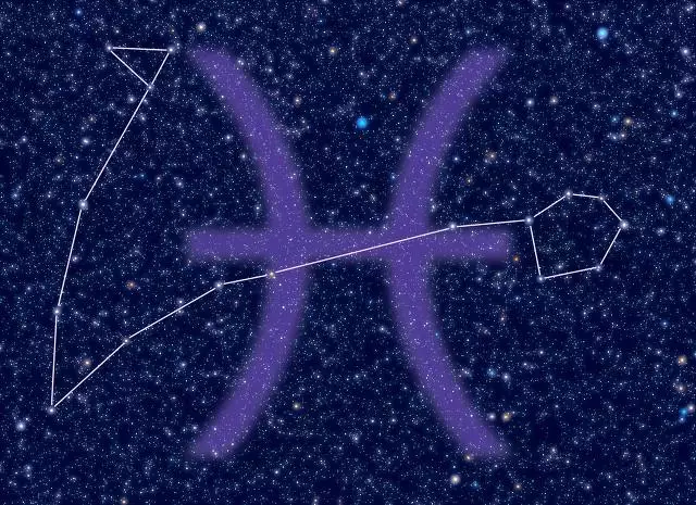 双鱼座星盘查询，天蝎座的星盘分析