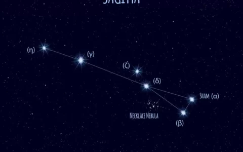 星座运势：天蝎座日期范围阳历，阴历11月14号阳历是几号