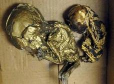 泰国镶金婴尸，用带着婴儿制成的形象进行讲述（惨无人道）